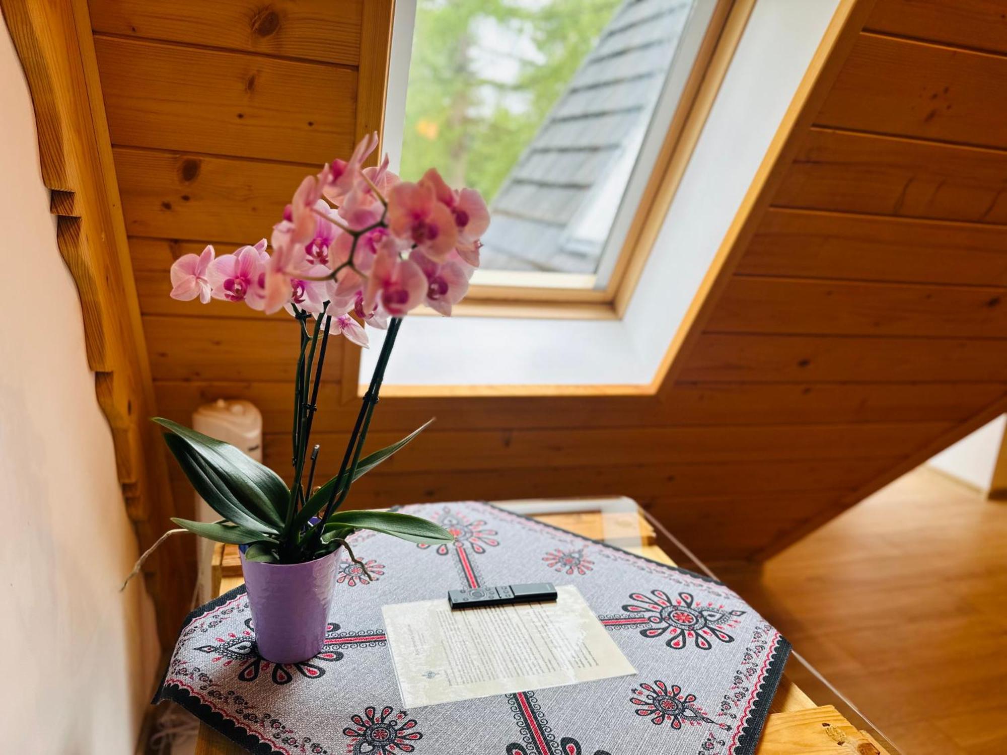 Apartamenty Krokiew Zakopane Ngoại thất bức ảnh